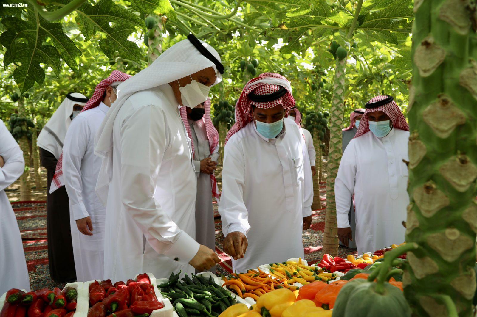 الوزير الفضلي يتفقد مشاريع منظومة البيئة والمياه والزراعة في المنطقة الشرقية