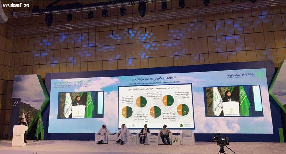 المملكة تصدّر 215ألف طن من التمور بـ (1.2) مليار ريال