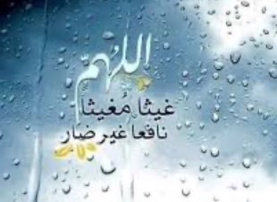 عبدالله بخاري يكتب : المطرة لها كاره ومحب