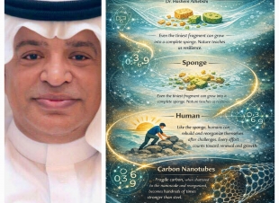 شيفرة النانو9630، دروس الإسفنج والكربون في إعادة تشكيل الذات.